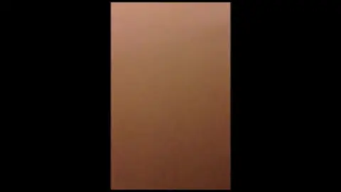 Asian Woman in Santa Costume