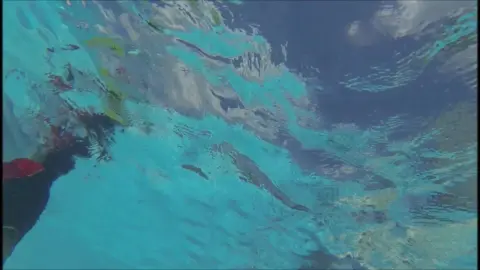 Girls Swimming and Diving in Pool