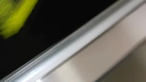 Asian Brunette Masturbating in Bathroom