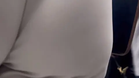 Group of Brunettes Show Off Their Curves