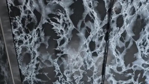 Curvy Black Woman Spreads Legs