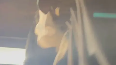 Blonde Teen in White Underwear Masturbates