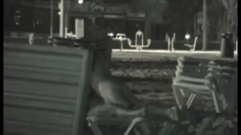 FU10 – Night Crawling 247