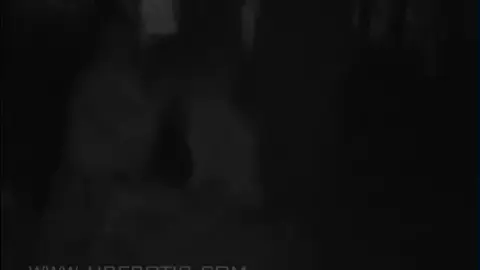 Lesbian Couples Kissing in Various Settings