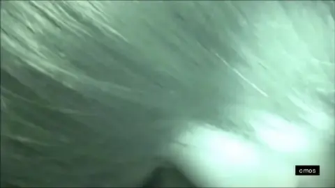 Asian Couple Intimate Bedroom Encounter