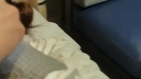 Asian Lesbian Intimacy in Bedroom